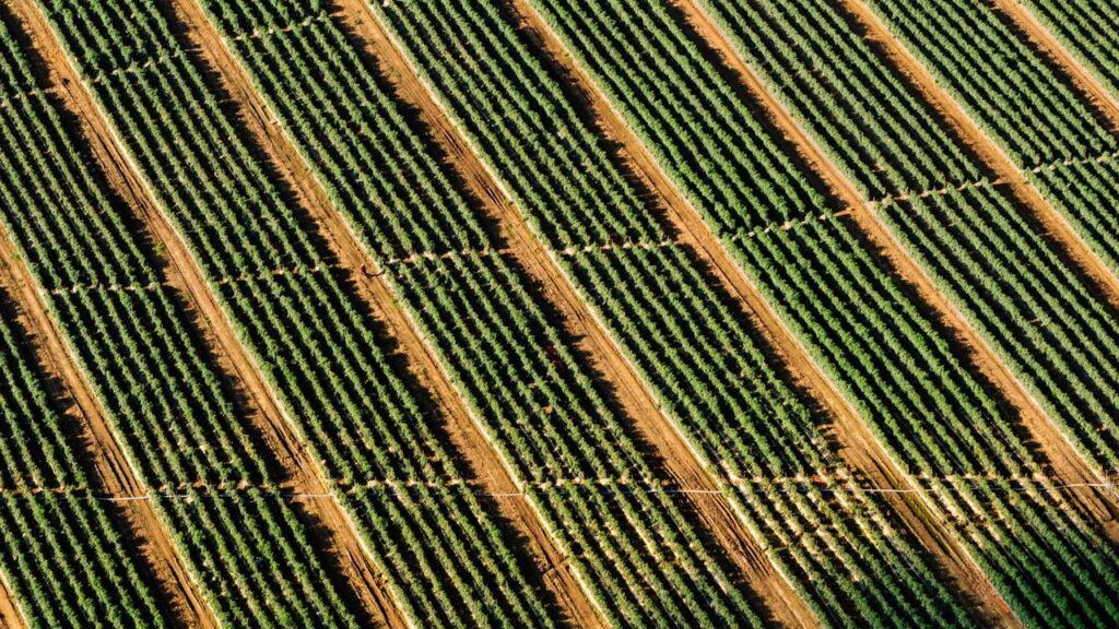 Aktuelle AI-Trends 2026: Wie Künstliche Intelligenz unser Leben verändert Aktuelle AI-Trends 2026: Wie Künstliche Intelligenz unser Leben verändert