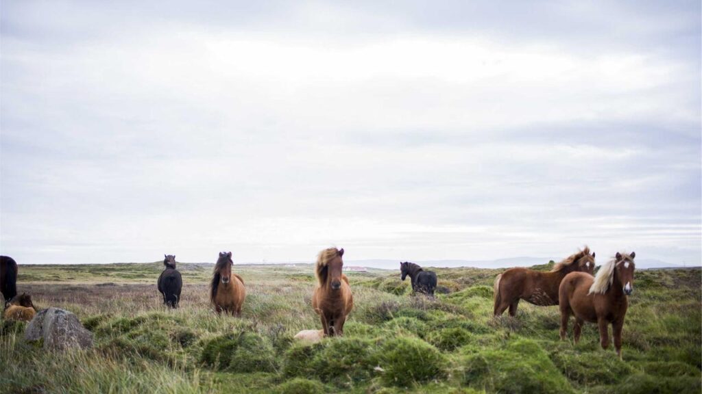 Aktuelle Bundesregierung News: Neue Maßnahmen zur Regulierung der Tankpreise und Ölpreiskrisenbewältigung Aktuelle Bundesregierung News: Neue Maßnahmen zur Regulierung der Tankpreise und Ölpreiskrisenbewältigung