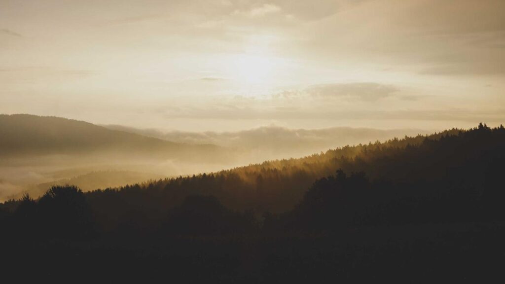 Aktuelle Energiepolitik: Bürgerenergie-Gruppen fordern Kurswechsel in Deutschland