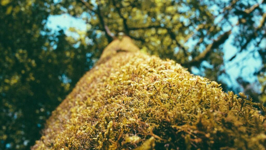 Aktuelle Energieversorgung in Deutschland: Neue Strategien für die Zukunft