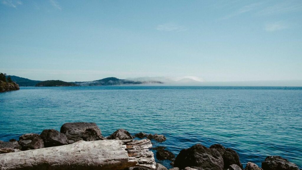 Aktuelle Entwicklungen im Fußball: Essen, Aue und Handball heute im Fokus Aktuelle Entwicklungen im Fußball: Essen, Aue und Handball heute im Fokus