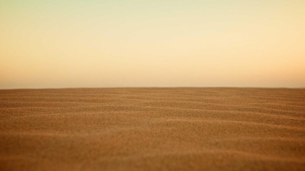 Aktuelle Machine Learning Trends: Neue Entwicklungen in Computer Vision und Gestenerkennung