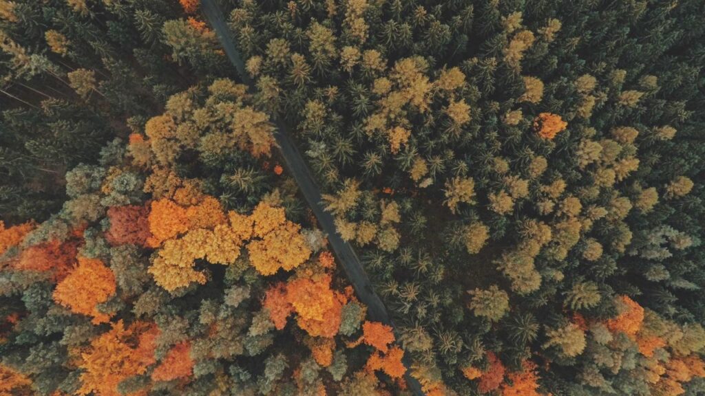 Aktuelle Tesla News: Erfolgreiche Quartalszahlen und neue Geschäftsstrategien 2026 Aktuelle Tesla News: Erfolgreiche Quartalszahlen und neue Geschäftsstrategien 2026