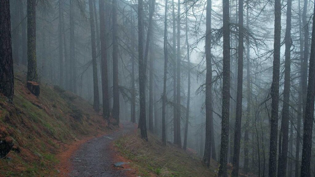 Aktuelle Ukraine: Eskalation im Konflikt und neue politische Forderungen