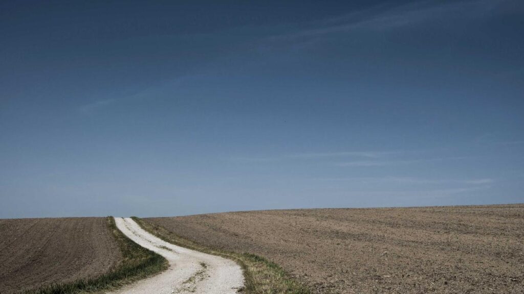 Aktuelle Wasserstoff-Initiativen: Shells neuer Elektrolyseur und die Herausforderung im Tankstellennetz