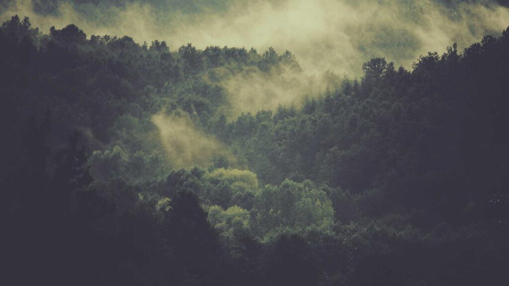 Al-Khaleej vs Al-Nassr: Schlüsselspiel in der Saudi Pro League am 14. März 2026 Al-Khaleej vs Al-Nassr: Schlüsselspiel in der Saudi Pro League am 14. März 2026