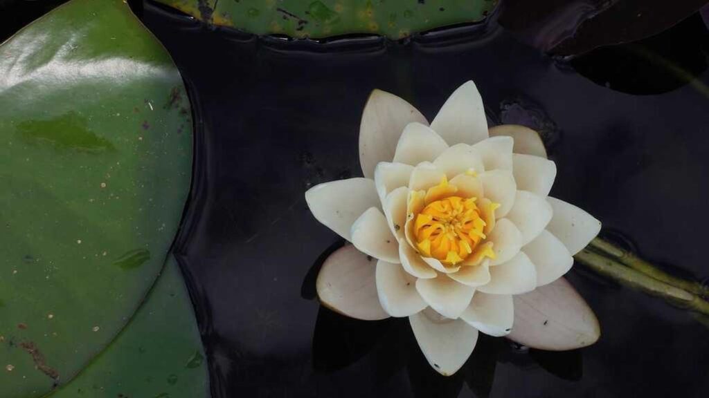 Arminia Bielefeld vs. SC Paderborn 07: Das Ostwestfalen-Derby im Fokus