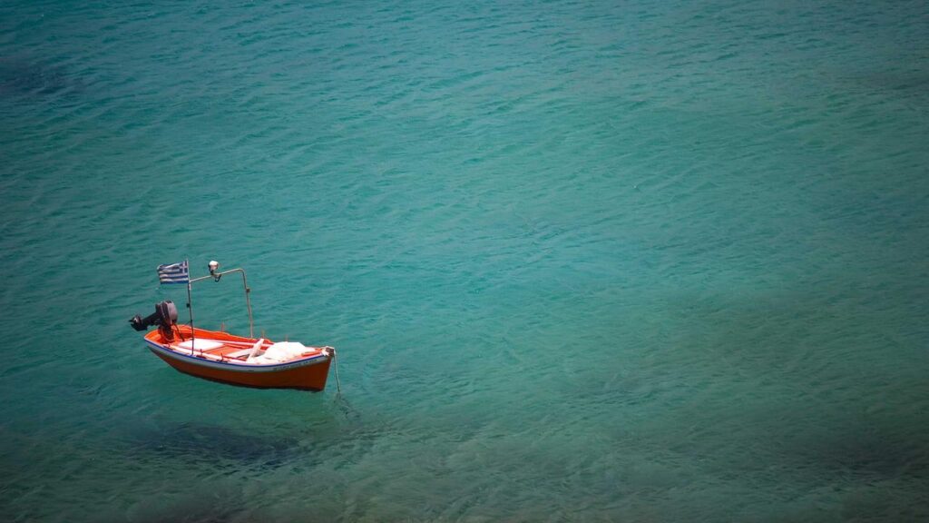 Arnold Schwarzenegger kehrt zurück: „King Conan“ und mehr