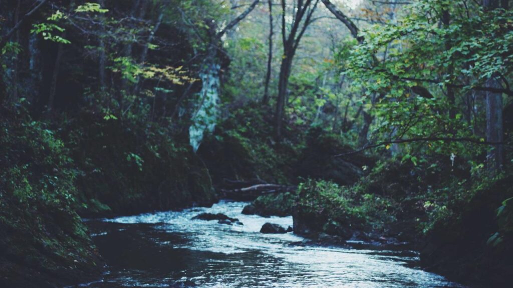 Bangladesh vs Pakistan: Ein intensives Duell im Fußball