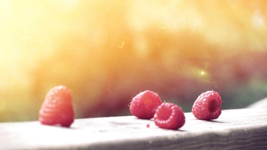 Berlin Brand: Aktuelle Trends der Kreativszene im Fokus