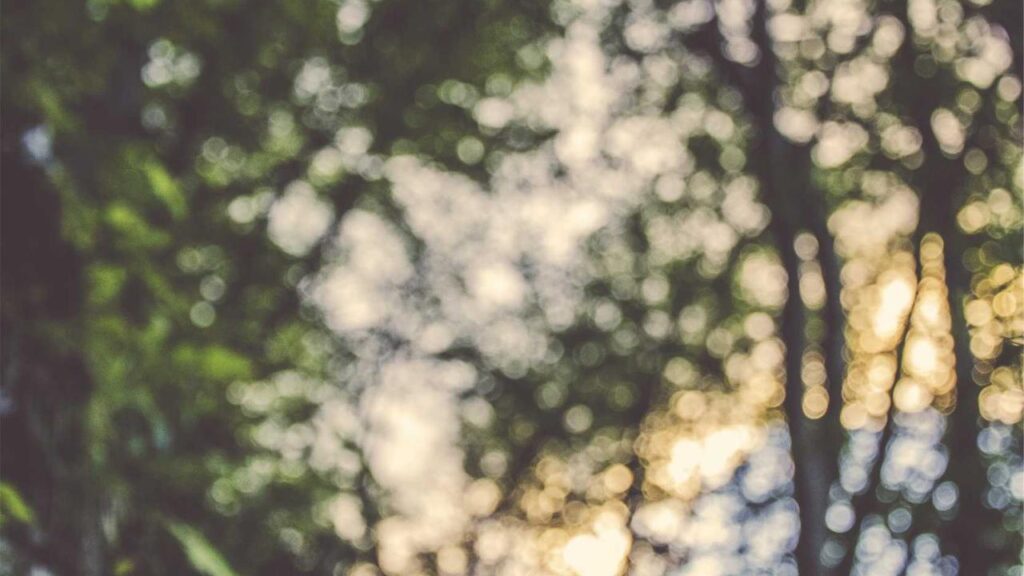 Crystal Palace vs. Leeds: Ein Blick auf das bevorstehende Crystal Palace vs. Leeds: Ein Blick auf das bevorstehende