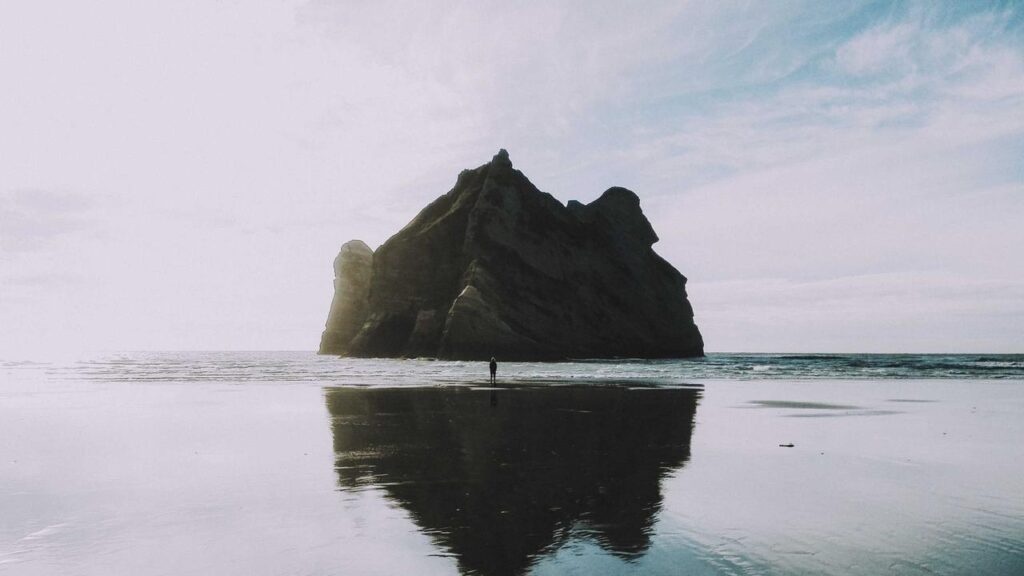 Die neuesten Inhalte auf Disney+: Revival von "Malcolm Mittendrin" und neue Filme zu "Alarm für Cobra 11"