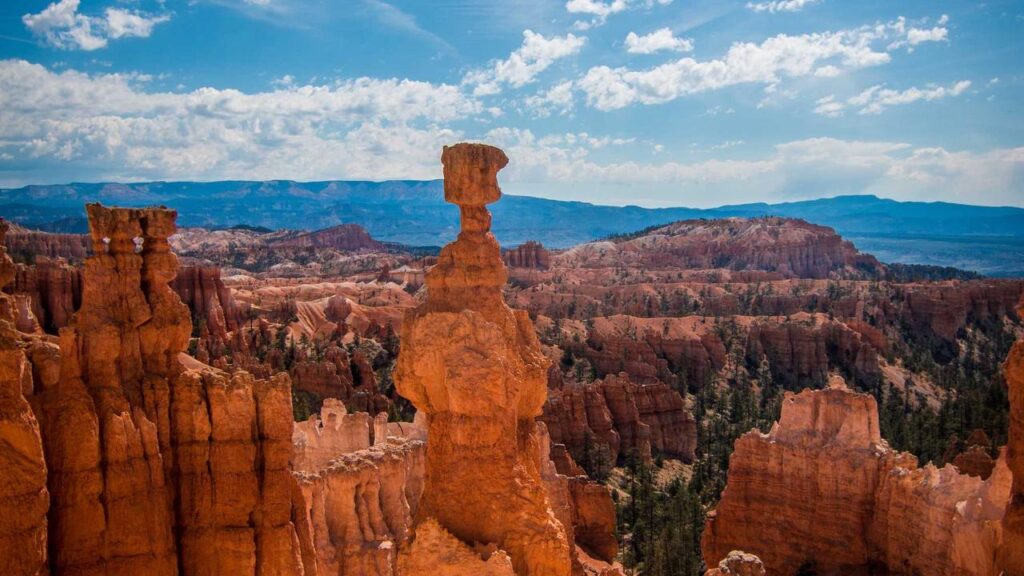 Eisbären Berlin siegen im DEL-Klassiker gegen Adler Mannheim