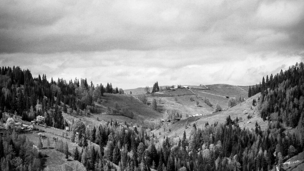 Erling Haaland: Rückkehr von Verletzung und Spekulationen um Transfer zu Barcelona