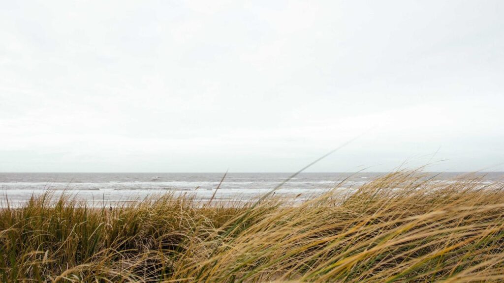 Eurojackpot Gewinnzahlen: Die Zahlen vom 13. März 2026 und was Sie wissen müssen Eurojackpot Gewinnzahlen: Die Zahlen vom 13. März 2026 und was Sie wissen müssen