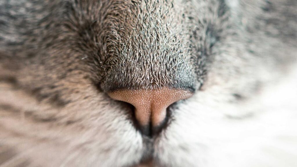 Eurojackpot Heute: Aktuelle Lottozahlen und Jackpot Chancen am 13. März 2026