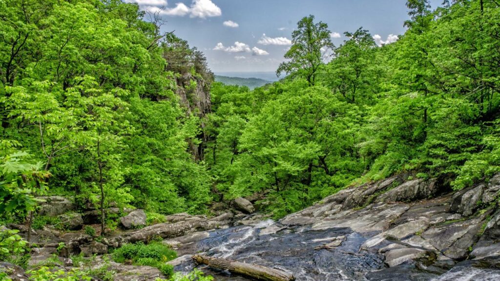 F1 China Sprint Qualifying 2026: Alle Informationen zum heutigen Qualifying und den Favoriten