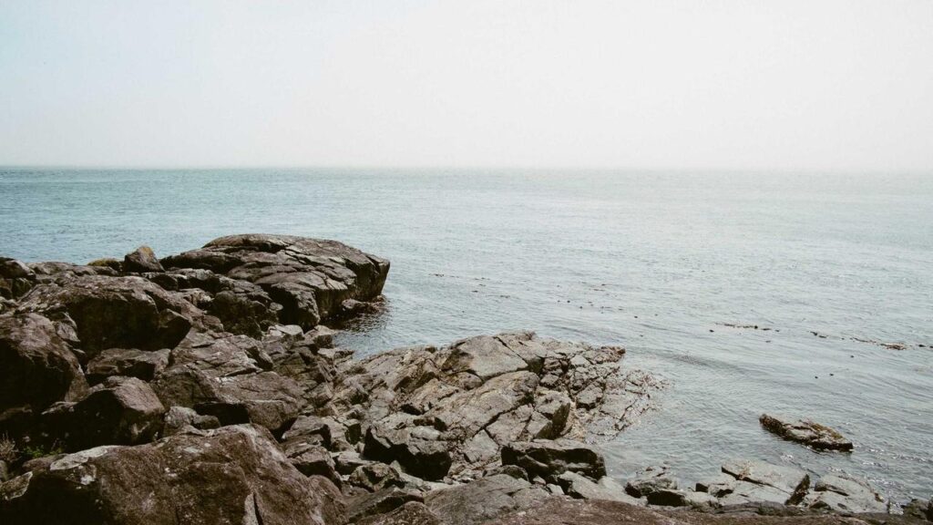 Feuer in Berlin: Ursachen, Auswirkungen und Prävention