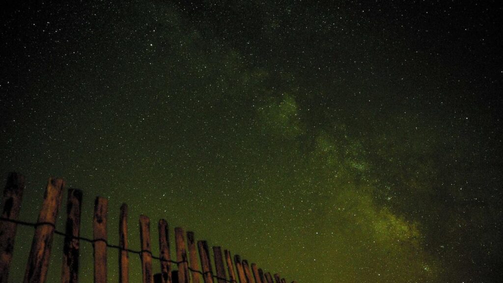 Filme, die dir Fremdscham bereiten: Die neuesten Trends