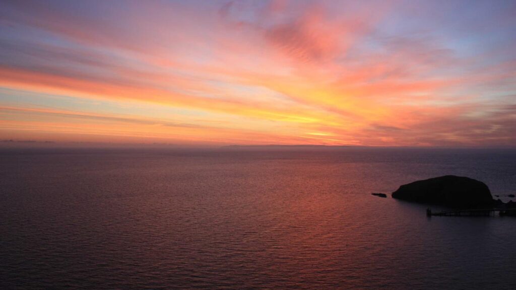 Frauen-Bundesliga im Fokus: Aktuelle Trends und Frauen-Bundesliga im Fokus: Aktuelle Trends und