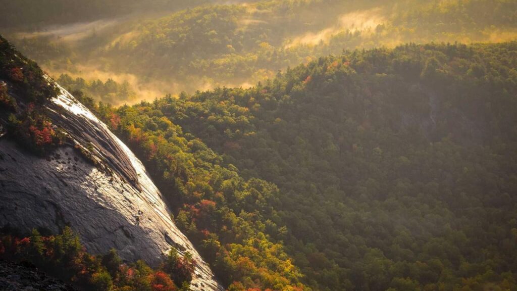 Howard Carpendale: Abschiedstournee 2026 und seine eindrucksvollen Live-Auftritte