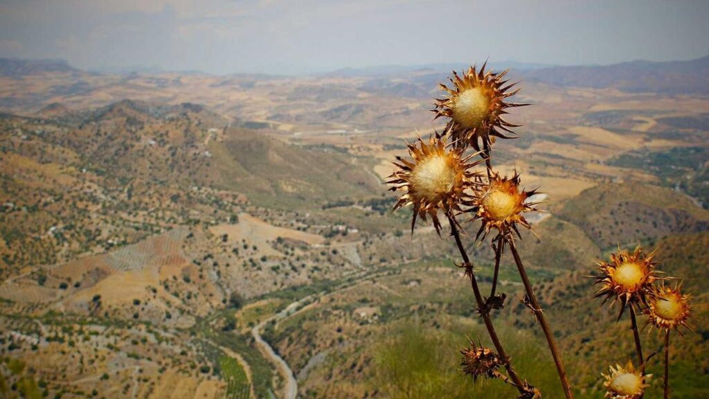 Jane Fonda im Fokus: Die Wiederholung von "Das