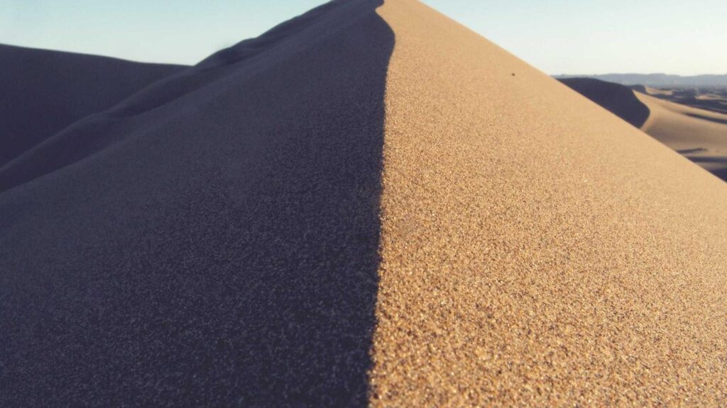 Jörg Schönenborn: Entwicklungen und Trends in seinem Wirken