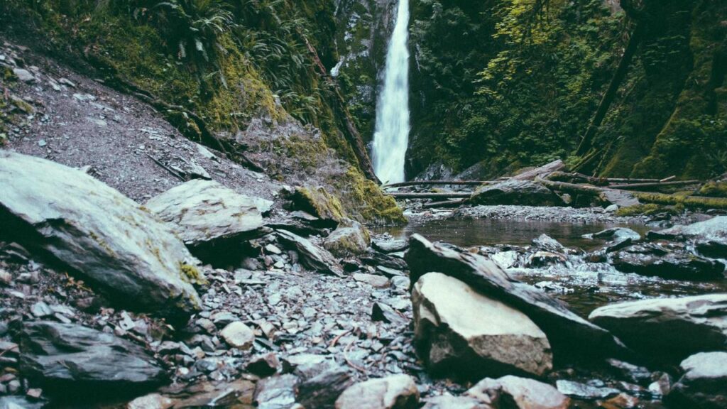 Kofferraum-Trend: Sicherheitskontrollen und innovative Raumausnutzung im Auto