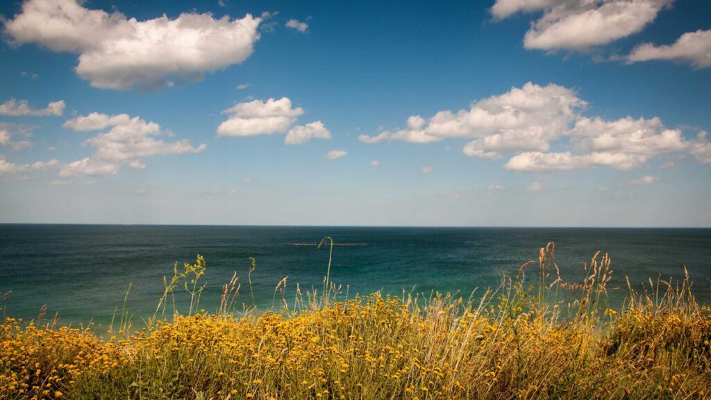 Marius Borg Høiby im Zentrum eines spektakulären Prozesses: Neue Entwicklungen und ihre Bedeutung für die norwegische Monarchie