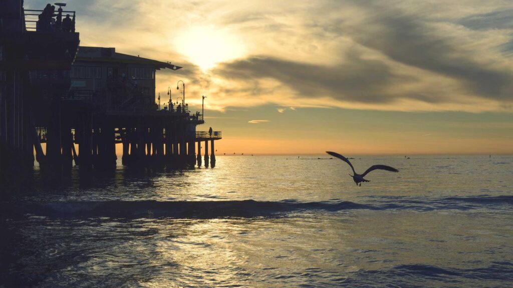 Milano, der Sänger und Tänzer: Alles über seinen Weg bei Milano, der Sänger und Tänzer: Alles über seinen Weg bei