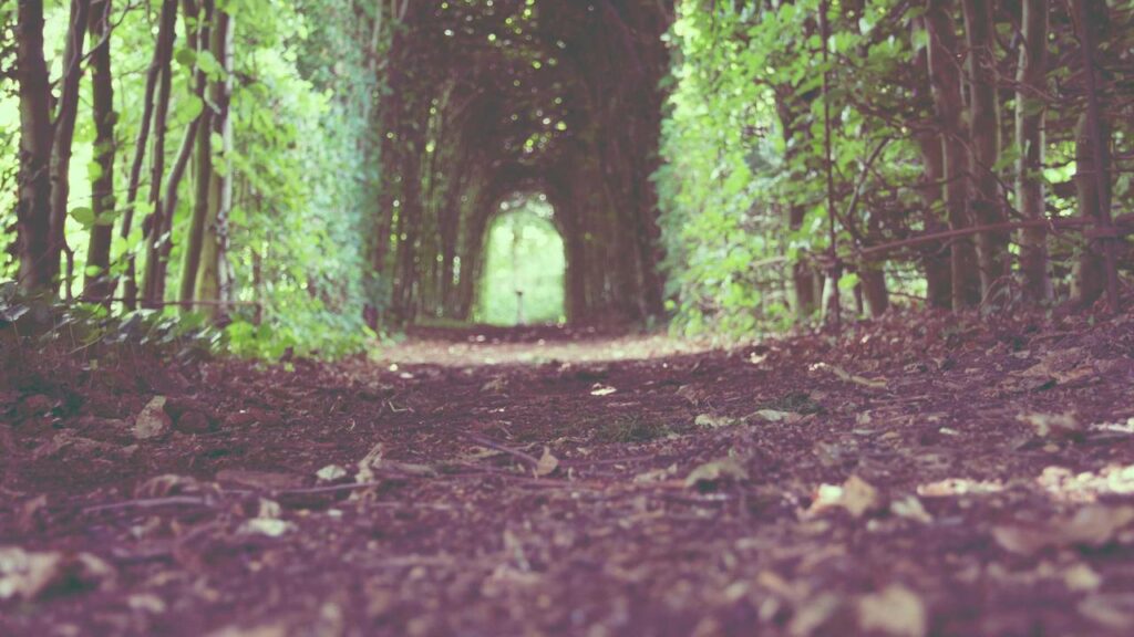 Mordufer startet: Franziska Weisz bringt frischen Wind ins Krimi-Genre