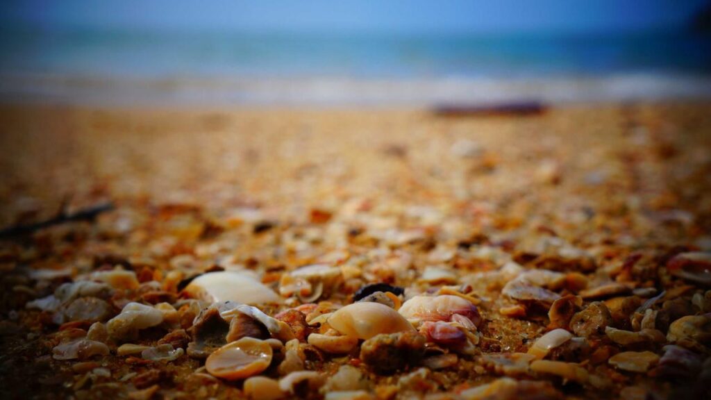 Morgan Fairchild: Die blonde Legende erzählt von ihrem Kampf gegen den Druck in Hollywood