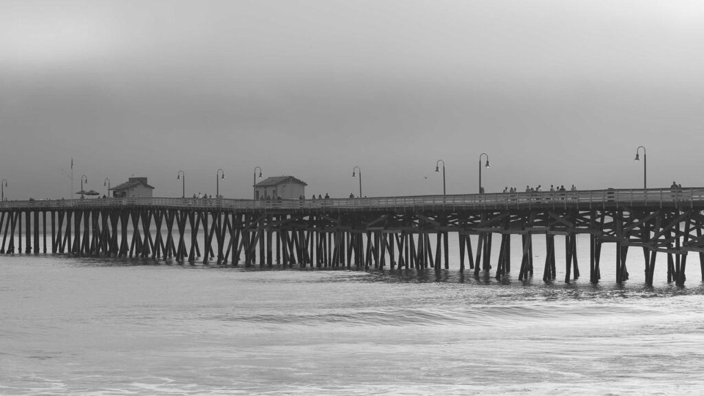 Natascha Kampusch und Wolfgang Priklopil: Einblick in