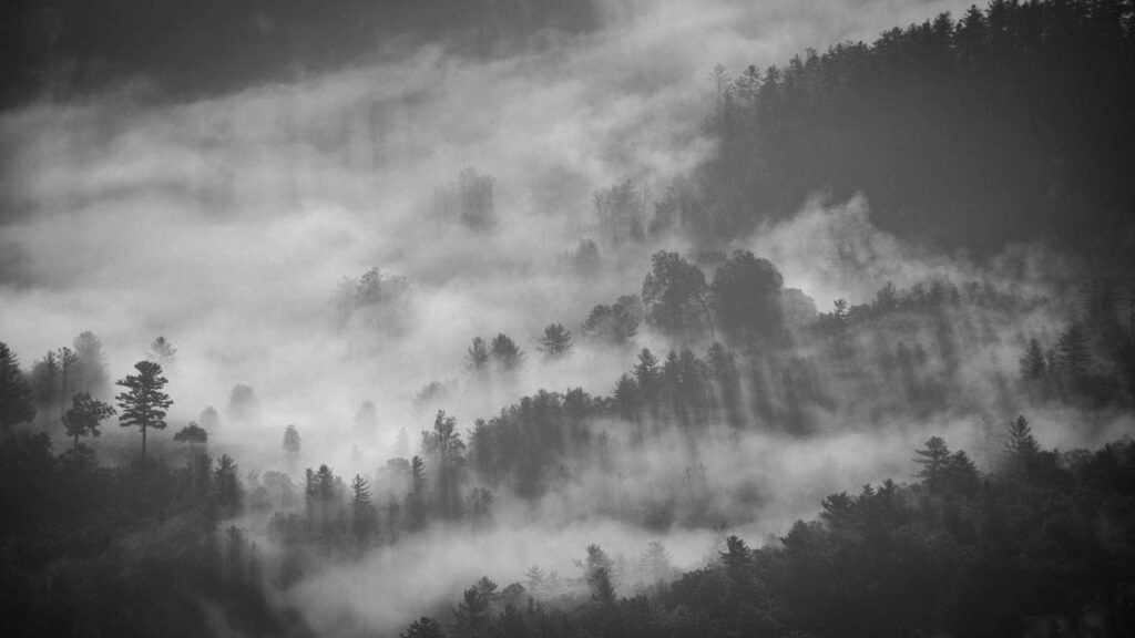 Neue Prime Video Highlights: Serien und Filme, die Sie heute nicht verpassen sollten