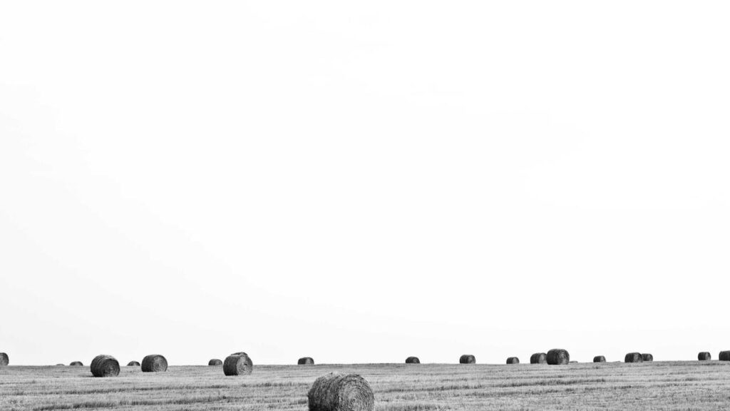 Neue Streaming Serien: Das sind die Highlights für März 2026