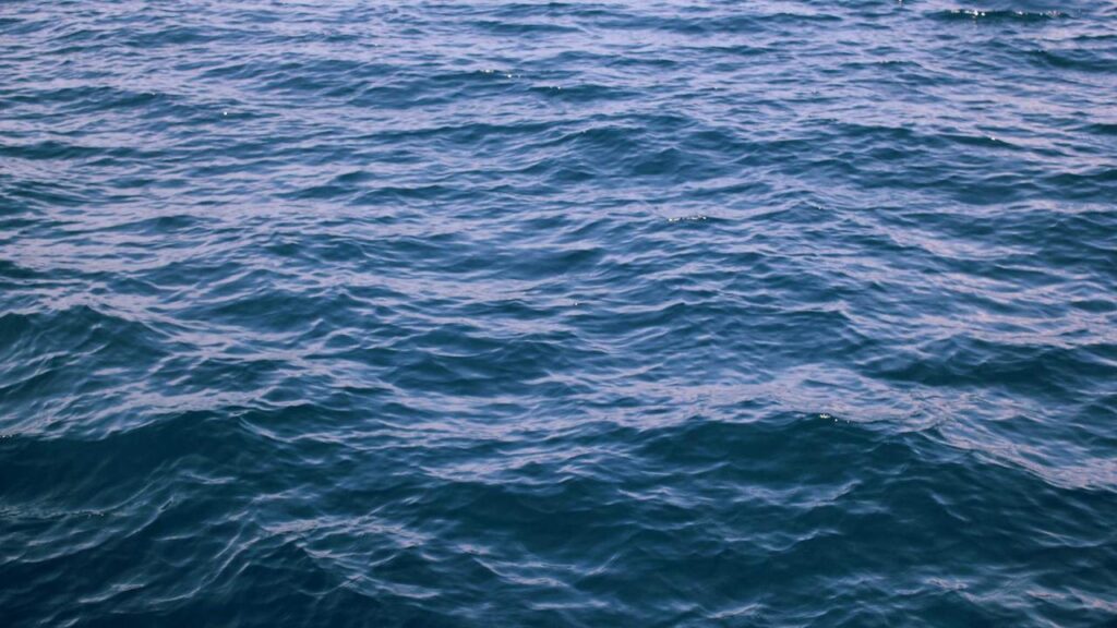 Nicole Kidman nach der Scheidung: Neues Leben und spannende Projekte mit "Scarpetta"