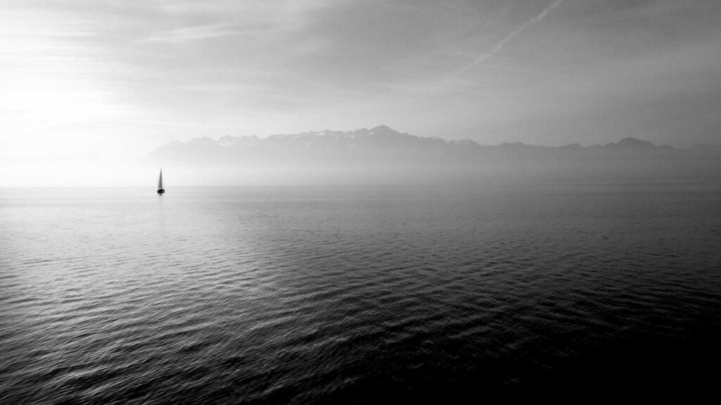 Nicole Kidman: Neues Leben nach der Scheidung und Nicole Kidman: Neues Leben nach der Scheidung und