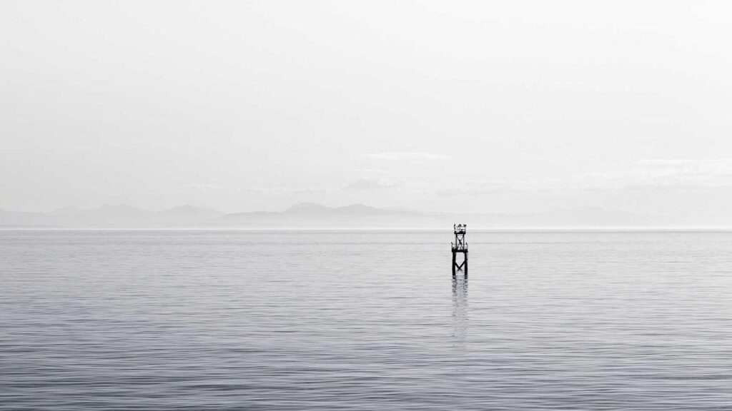 Nottingham vs. FC Fulham: Alles, was Sie wissen müssen