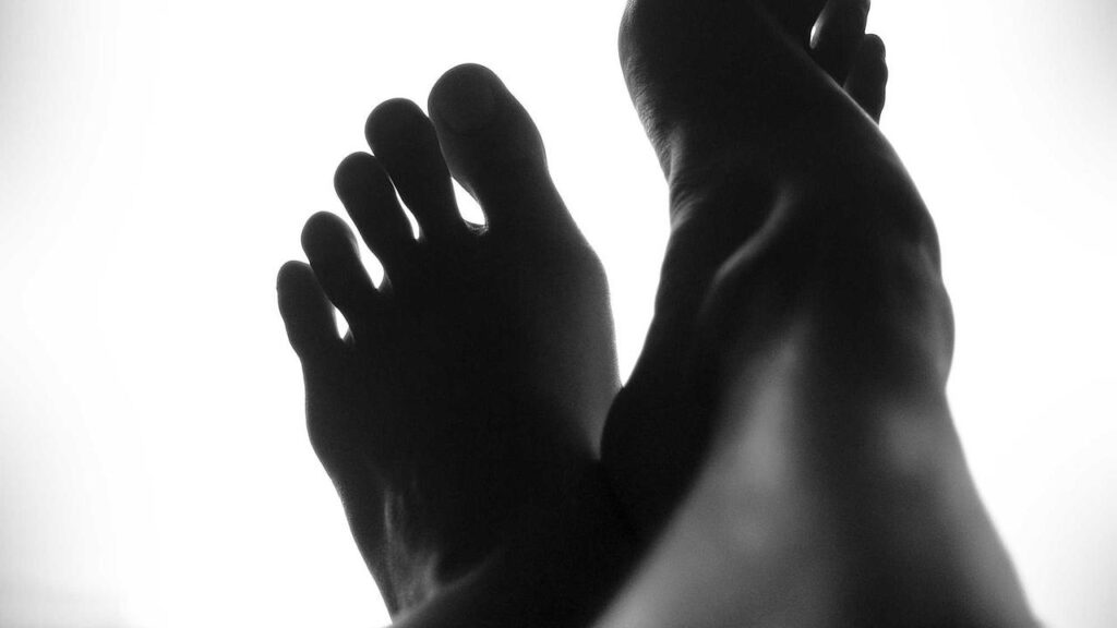 Podcasts im Jahr 2026: Die aktuellen Trends und Highlights