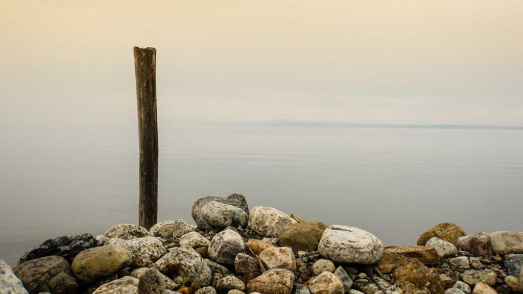 Purple Schulz feiert 70 Jahre: Neue Tour und alte Hits – Das erwartet Fans jetzt