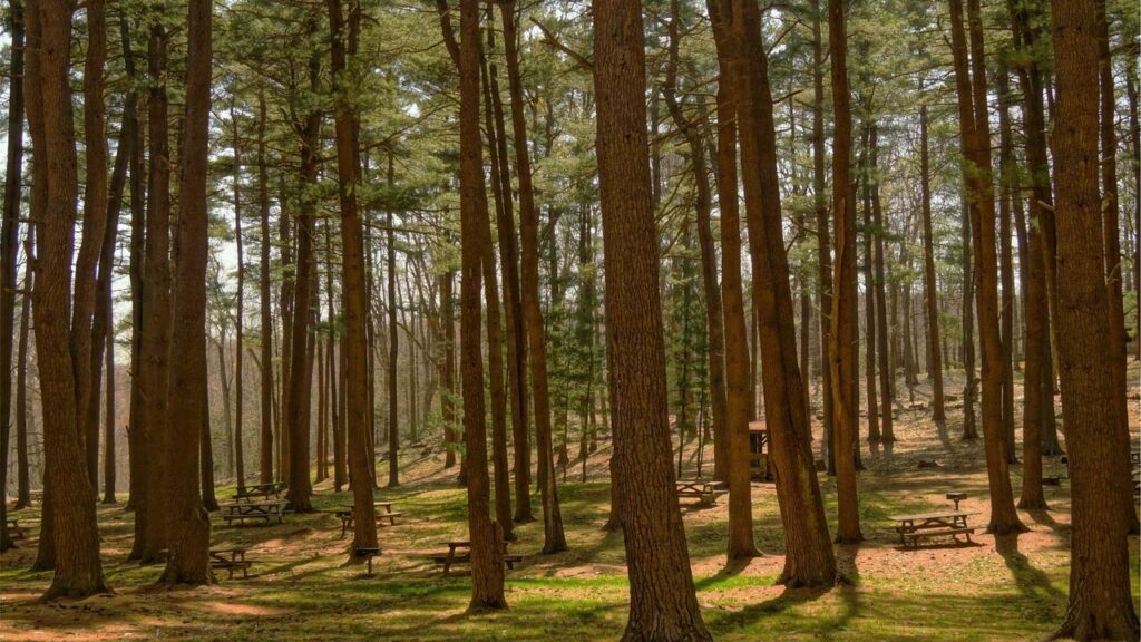 Ralf Schumacher: Ein Blick auf seine Karriere und aktuelle Ralf Schumacher: Ein Blick auf seine Karriere und aktuelle