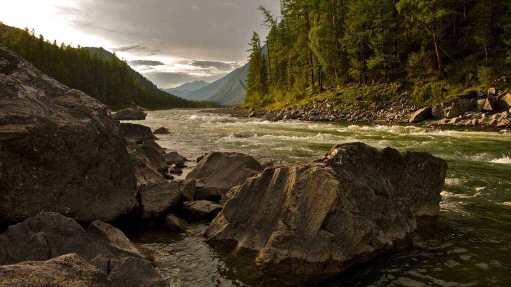 Rebel Wilson: Ihr Weg von der Komödie zu inspirierenden