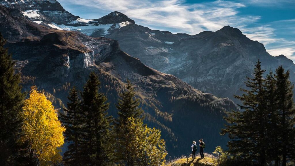 Robin Alexander: Politische Trends und Analysen in der