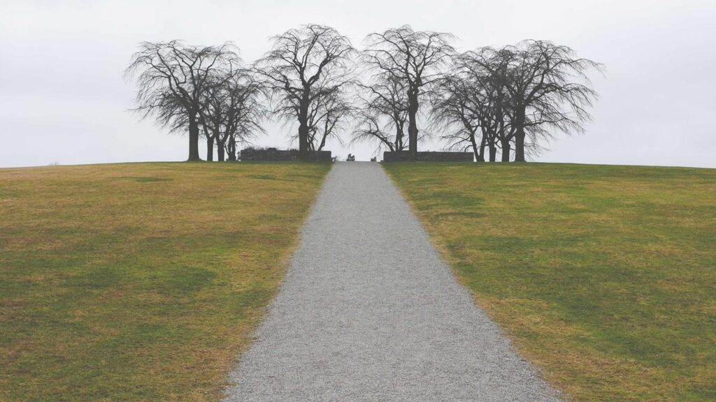 Samsung Galaxy A57: Neue Trends in der Mittelklasse mit prächtigen Specs und höheren Preisen