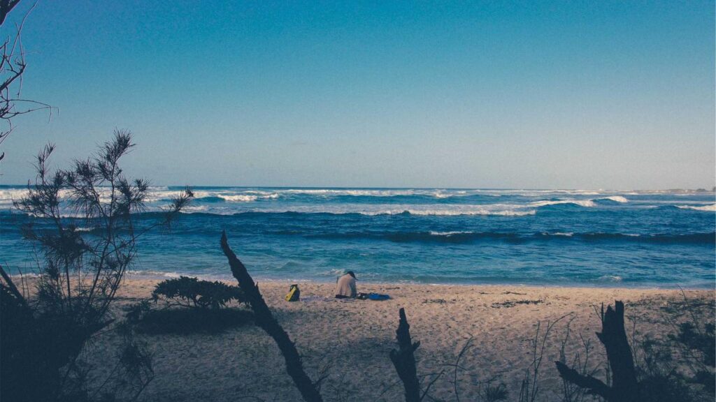 Sarah Engels und ihr Song „Fire“: Die Chancen beim Eurovision Song Contest 2026 in Wien