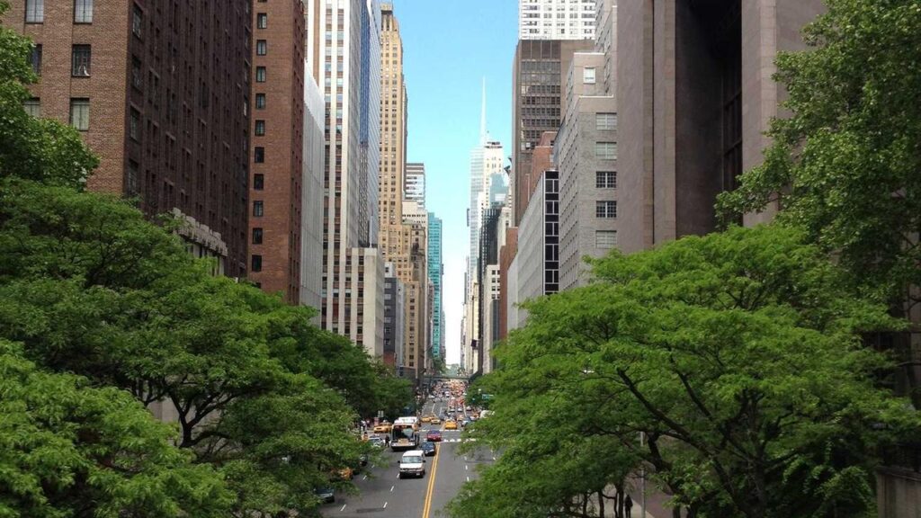 Simon Rolfes: Ein Blick auf die Karriere und Trends im Simon Rolfes: Ein Blick auf die Karriere und Trends im