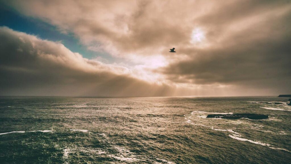 Stefan Mross: Emotionales Gedenken am Weltfrauentag und Zukunftspläne