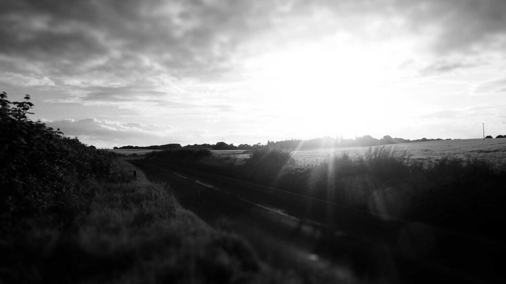 stefan raab: Das ist jetzt bekannt