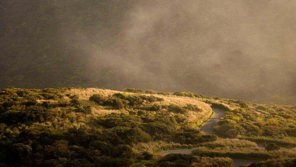 Sunay Kurtuluş: Ein Blick auf seine beeindruckende