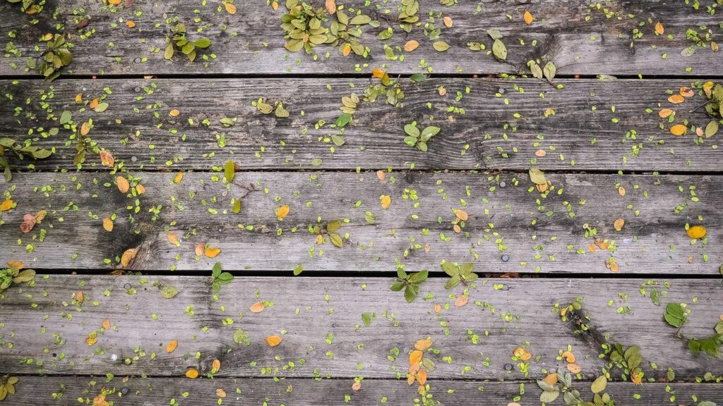 Tan Caglar: Der Rollstuhl-Comedian begeistert 2026 in Tan Caglar: Der Rollstuhl-Comedian begeistert 2026 in